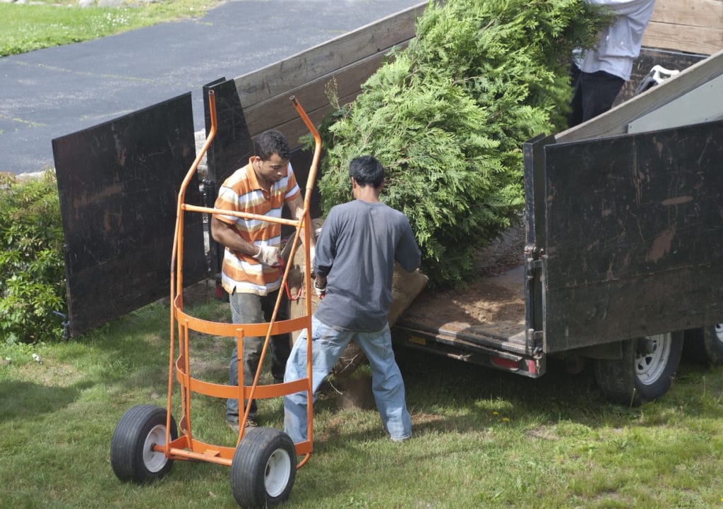 Residential Plant & Tree Delivery Long Island