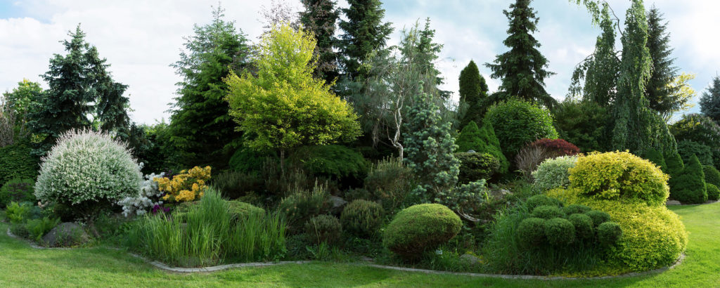 Landscape design with trees, shrubs in Long Island