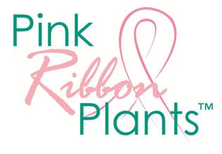 Pink Ribbon Plants